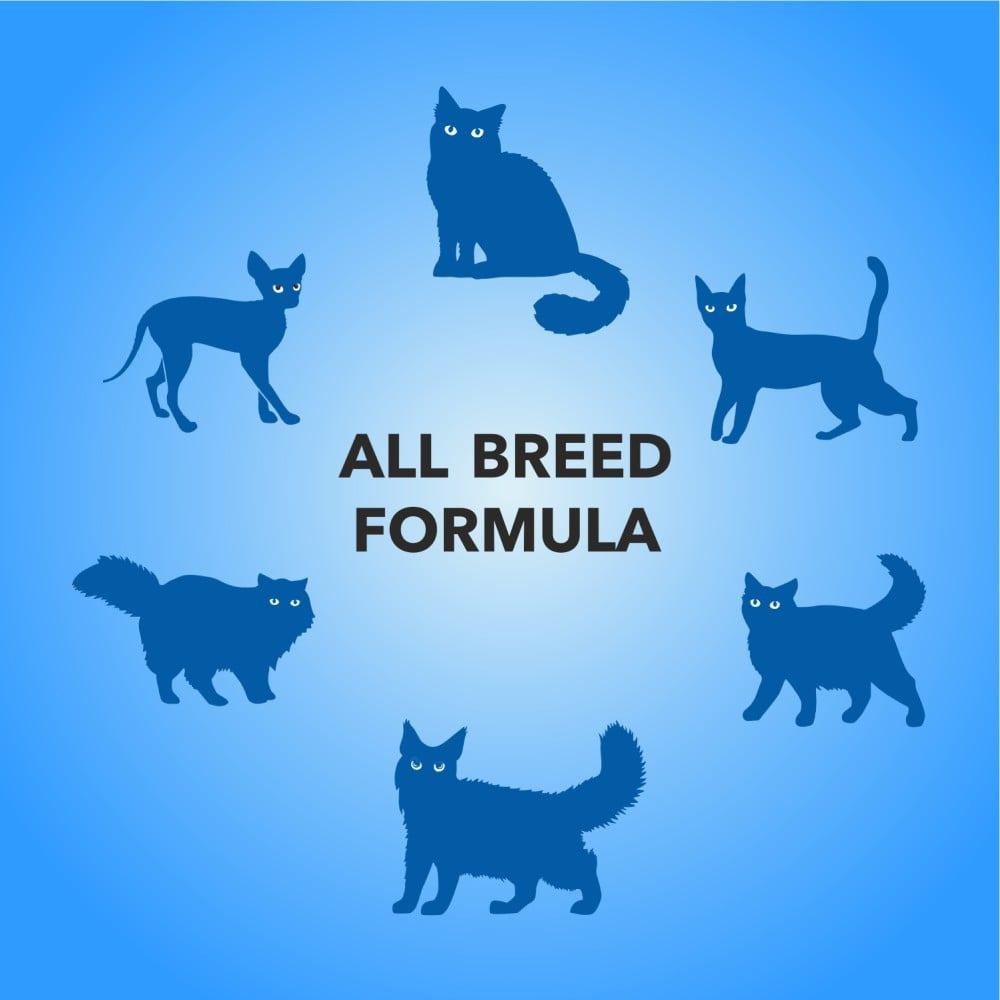 PurePet Wet Cat Food - Real Chicken and Chicken Liver in Gravy - All life stages : 50 g