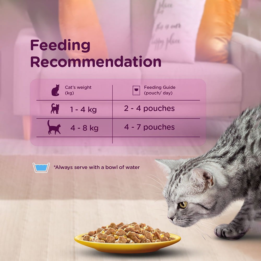 Whiskas Tasty Mix Wet Cat Food (Tuna With Kanikama And Carrot in Gravy) 1+ years : 70 g