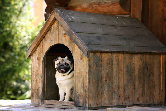 Dog Kennel Dealers