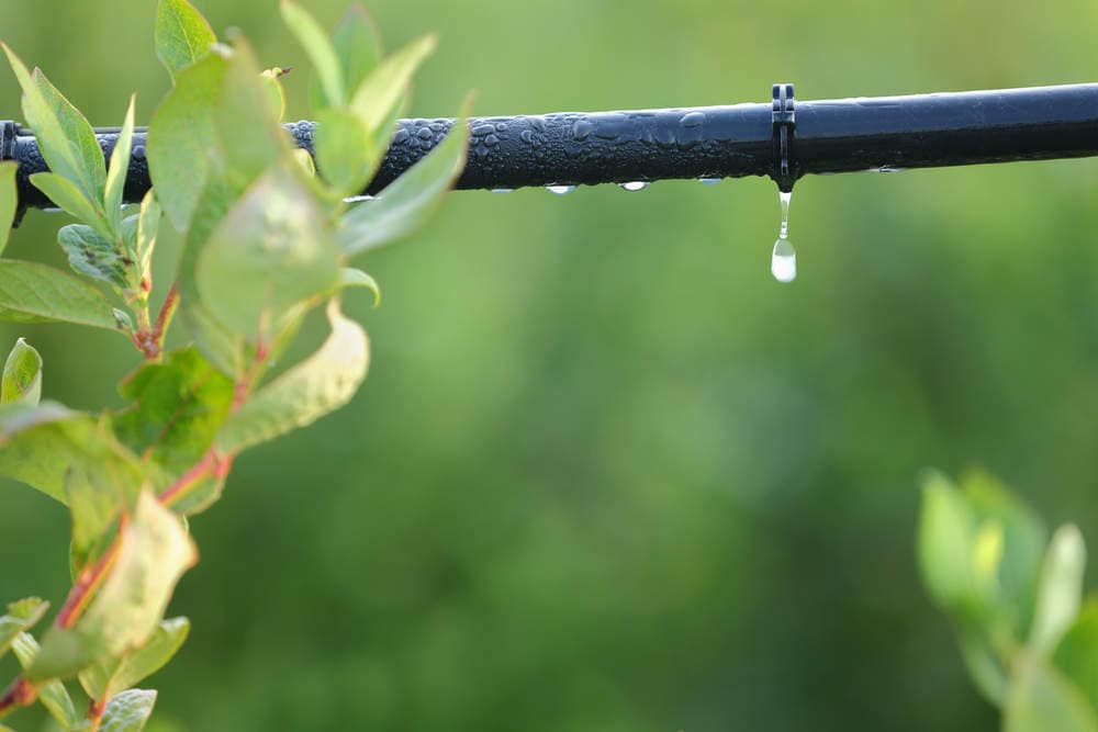 Drip Irrigation System Dealers
