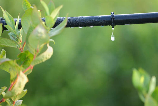 Drip Irrigation System Dealers