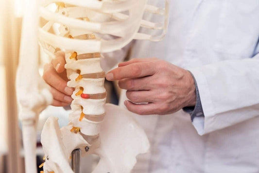 Spine Specialist Doctors