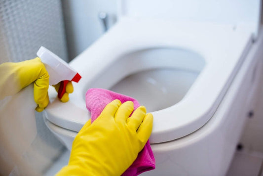 Toilet Cleaning Services