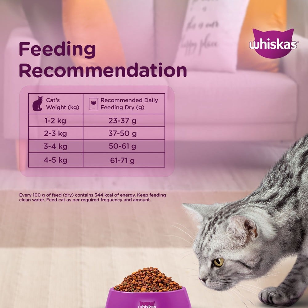 Whiskas Adult Dry Cat Food -Tuna Flavour (1+ Years) - Pack of 2 : 2 x 3 kg