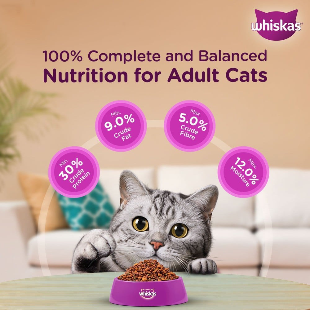 Whiskas Adult Dry Cat Food -Chicken Flavour (1+ Years) : 1.2 kg