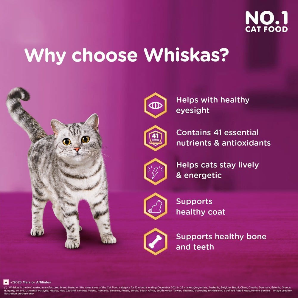 Whiskas Adult Dry Cat Food -Tuna Flavour (1+ Years) - Pack of 2 : 2 x 3 kg