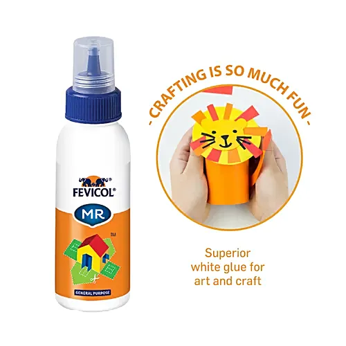 Pidilite Fevicol MR White Glue For Art & Craft, 100 g