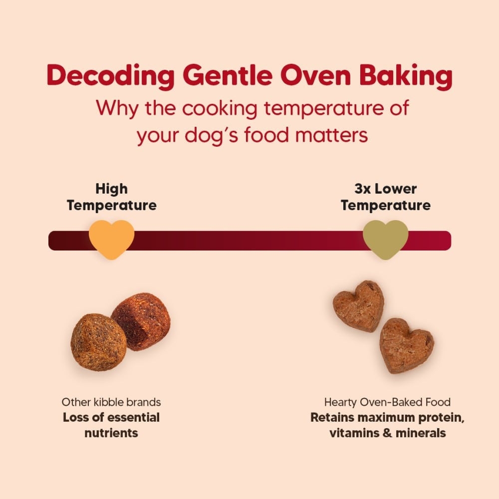 HUFT Oven-Baked Dry Dog Food for Puppies with Chicken, Fish & Indian Herbs : 250 g
