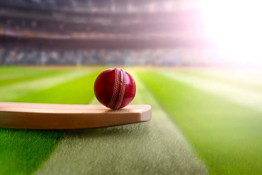 Cricket Bat Dealers