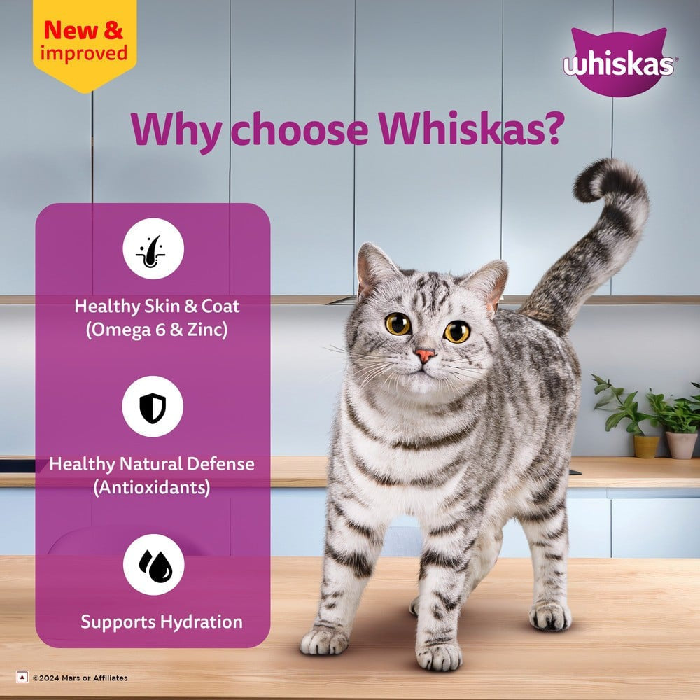 Whiskas Adult Wet Cat Food -Chicken in Gravy (1+ Years) : 14 x 80 g