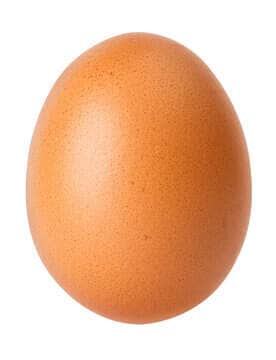 Egg Wholesalers