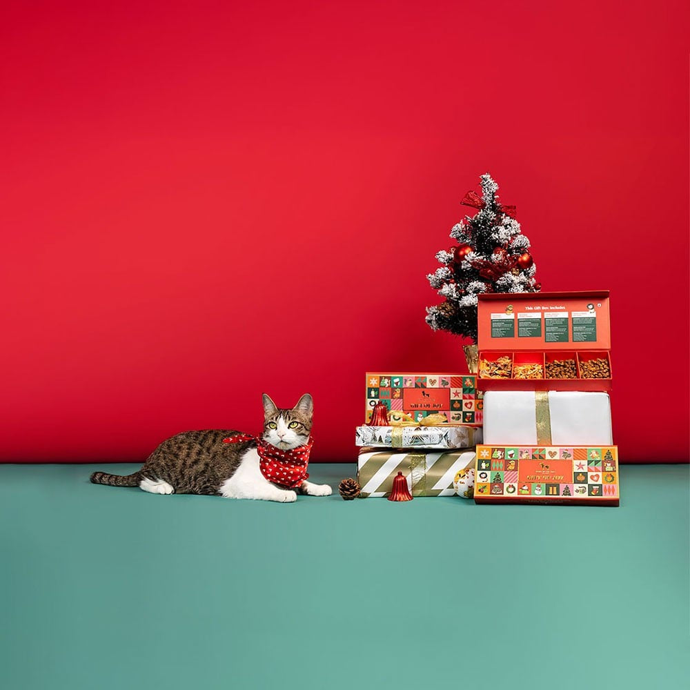 HUFT Gift of Joy Gift Pack of Cat Treat : 160 g