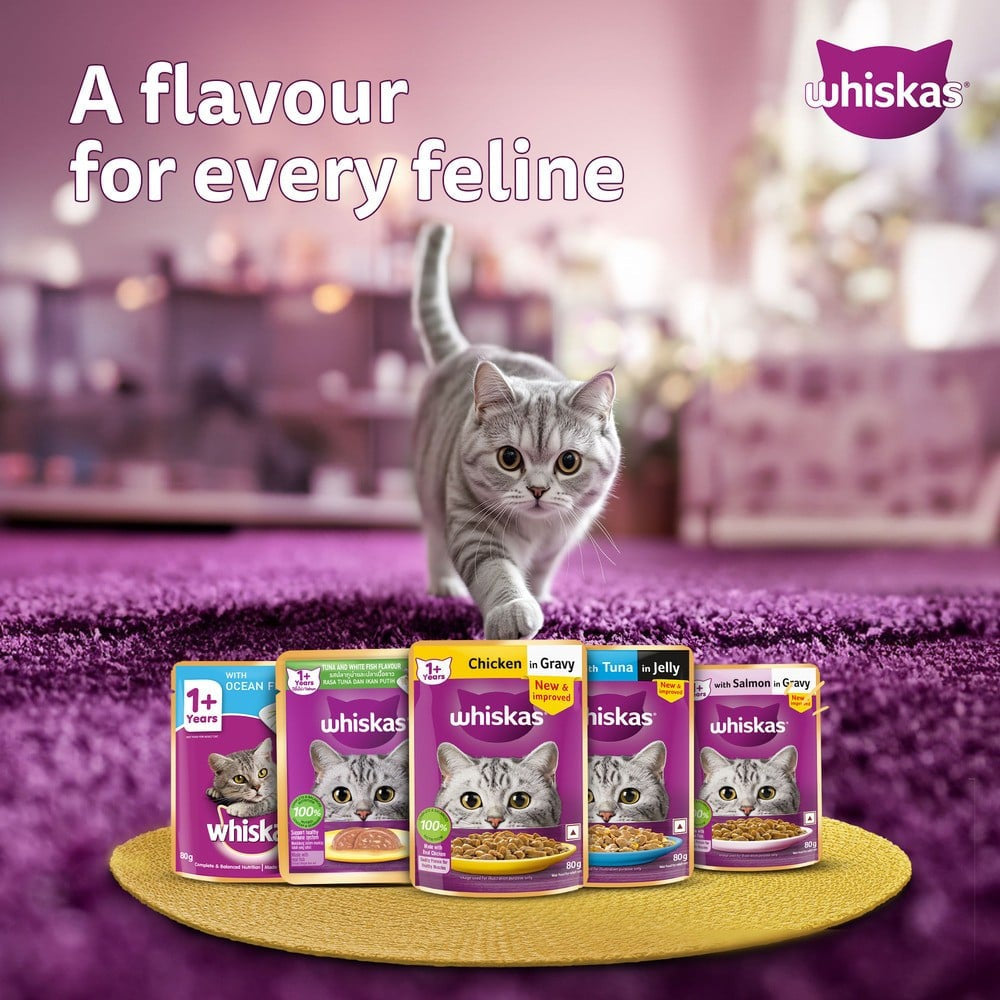 Whiskas Adult Wet Cat Food -Salmon in Gravy (1+ Years) : 80 g