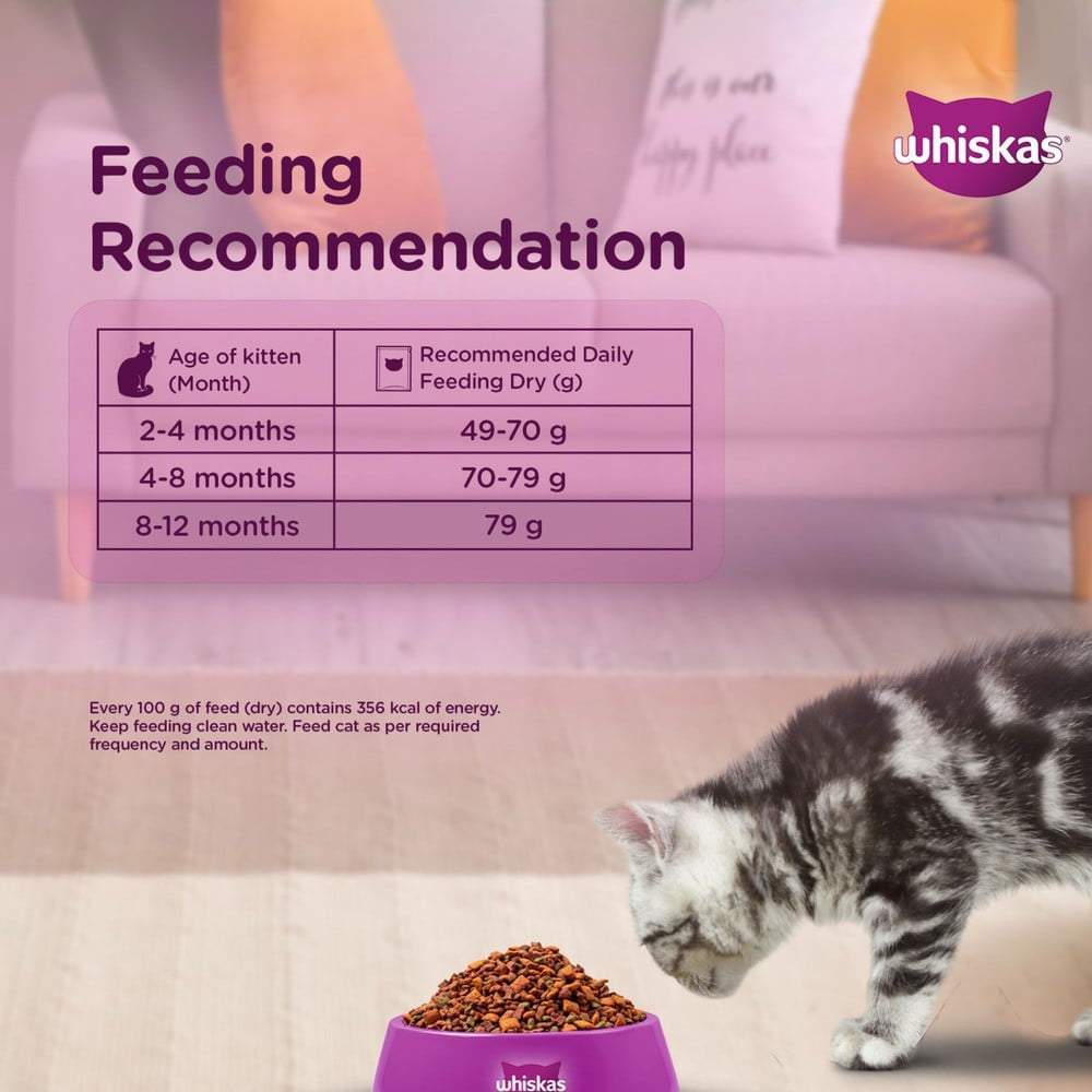 Whiskas Dry Kitten Food -Ocean Fish Flavour (2-12 months) : 1.1 kg