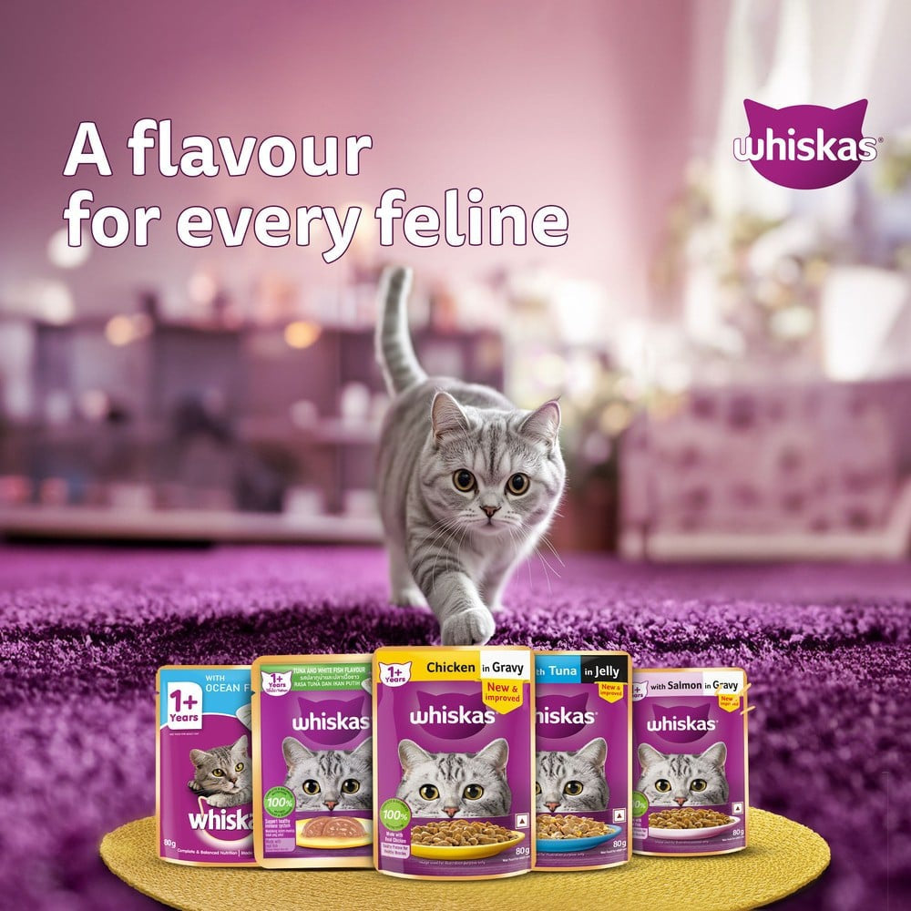 Whiskas Adult Wet Cat Food -Tuna in Jelly (1+ Years) - Pack of 2 : 2 x 80 g