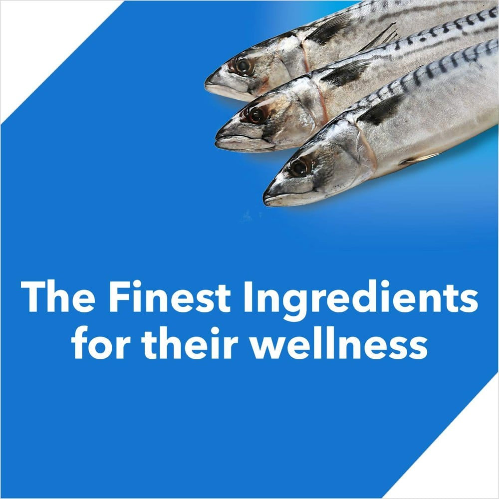 Drools Ocean Fish Dry Cat Food (Adult) : 1.2 kg