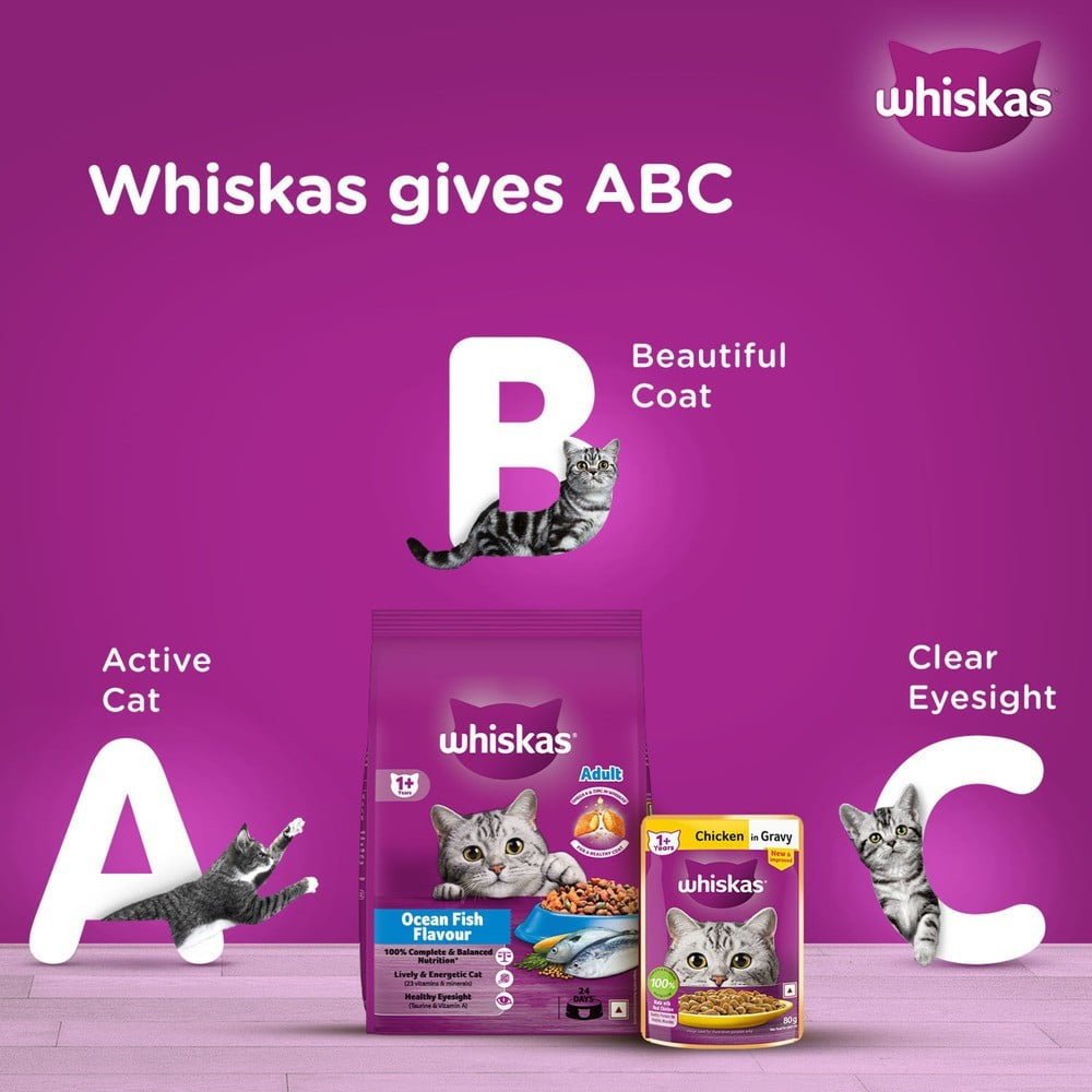 Whiskas Adult Dry Cat Food -Ocean Fish Flavour (1+ Years) - Pack of 2 : 2 x 3 kg