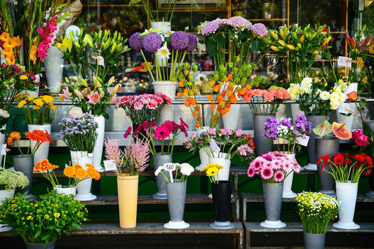 Flower Shops - Prithvi Enterprises