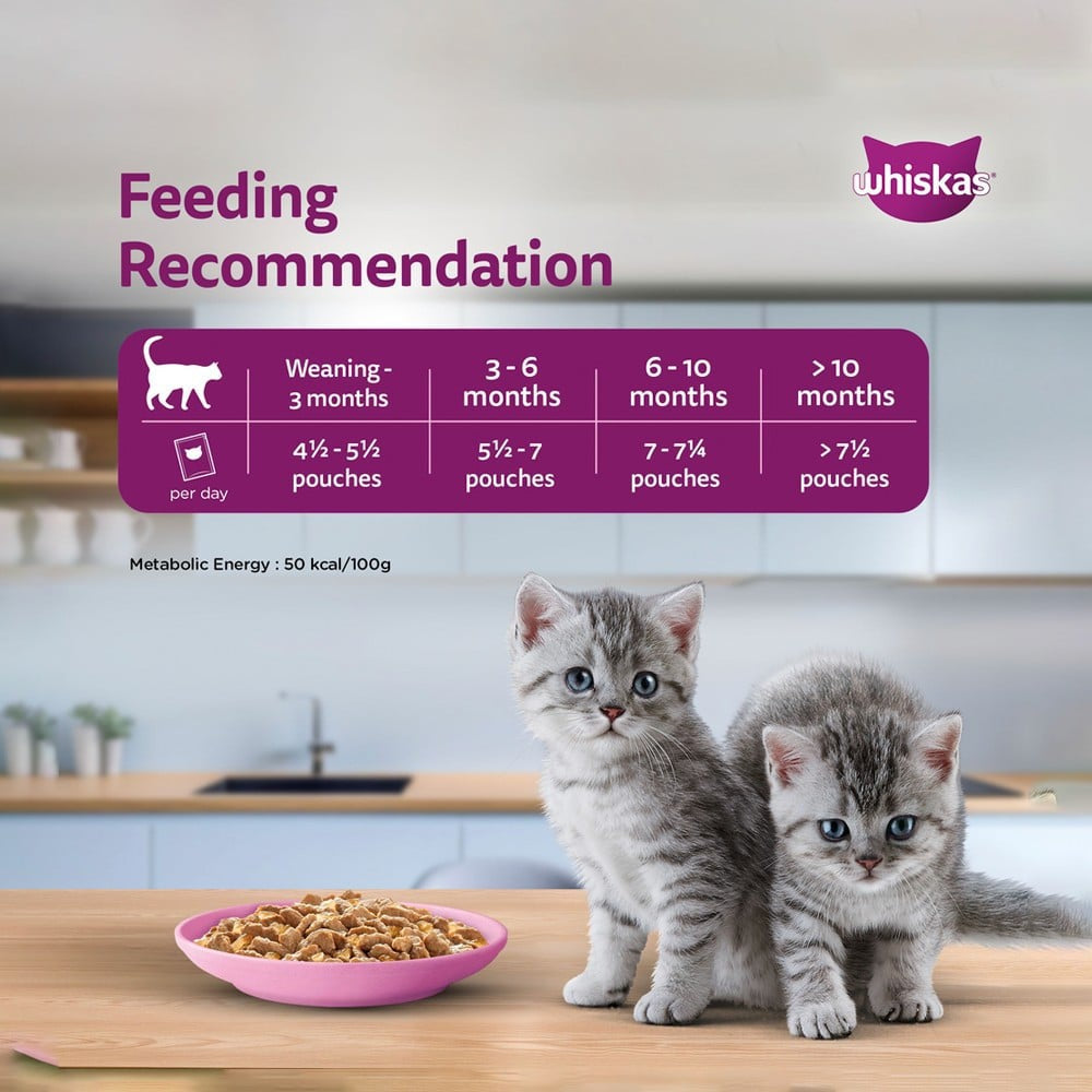 Whiskas Wet Kitten Food -Tuna in Jelly (2-12 Months) : 14 x 80 g
