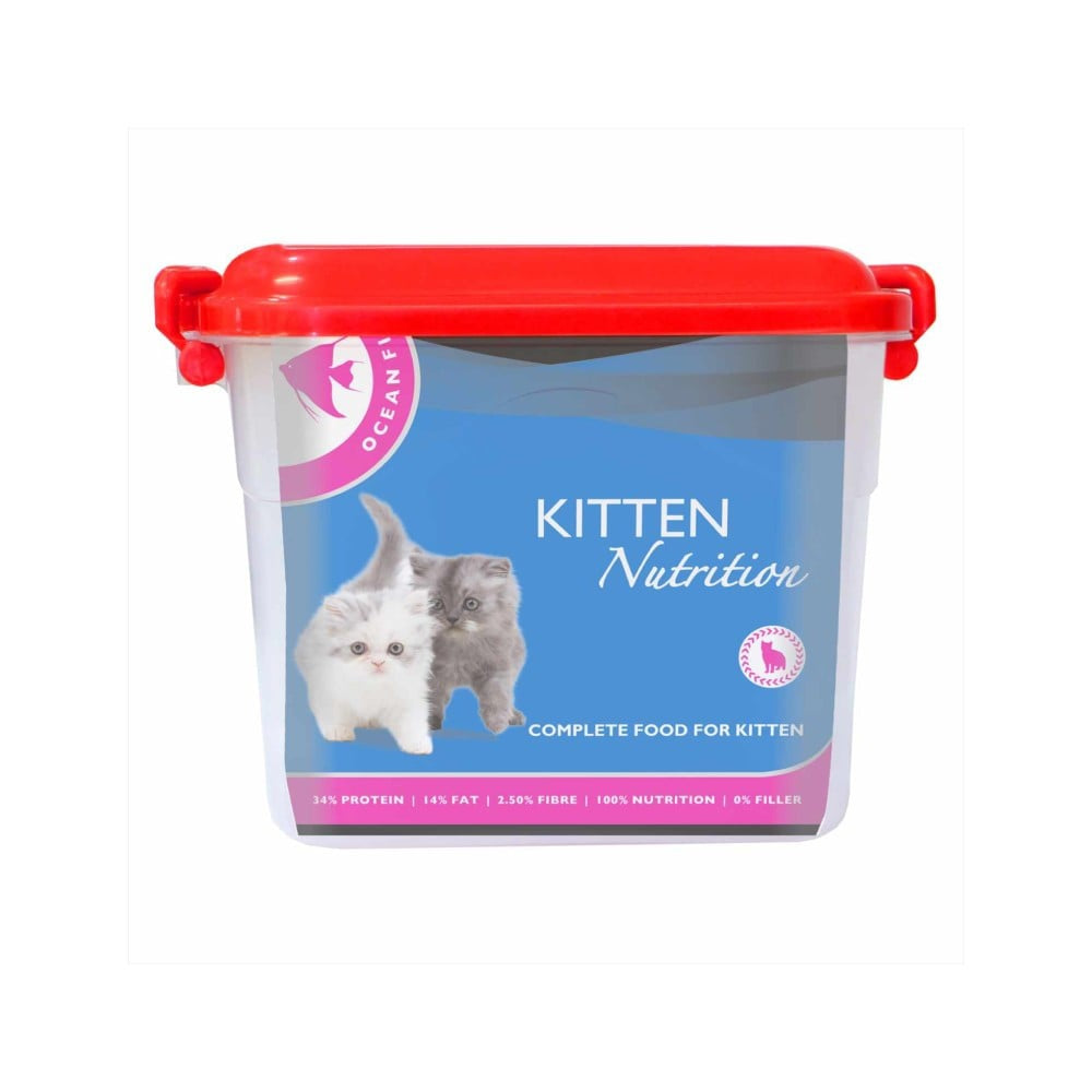 Drools Ocean Fish Dry Kitten Food Kitten (1-12 months) - Free Container : 1.2 kg