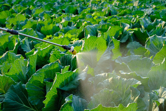 Pesticide Dealers
