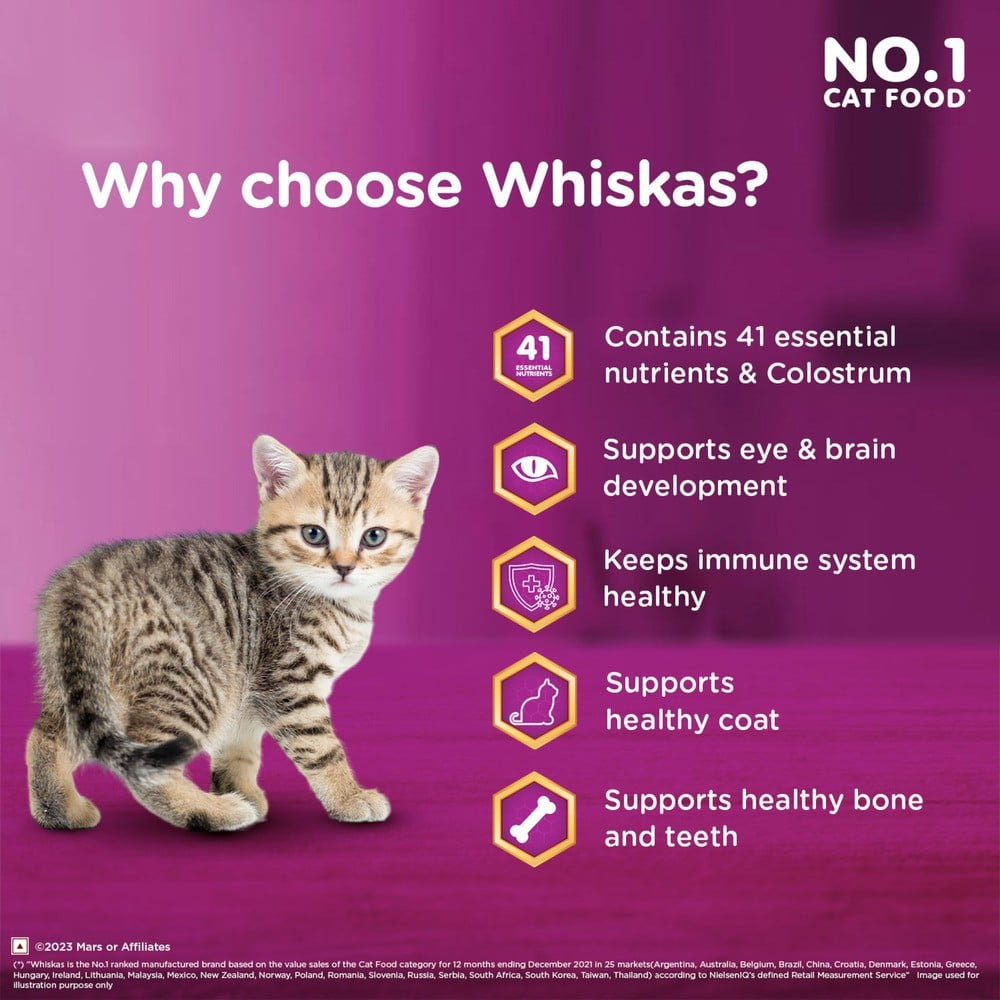 Whiskas Dry Kitten Food -Ocean Fish Flavour (2-12 months) : 1.1 kg