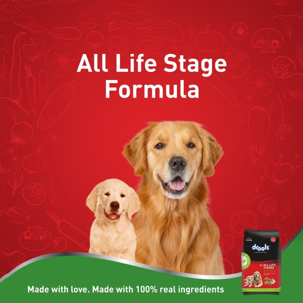 Drools All Life Stages Dry Dog Veg Food : 1.2 kg