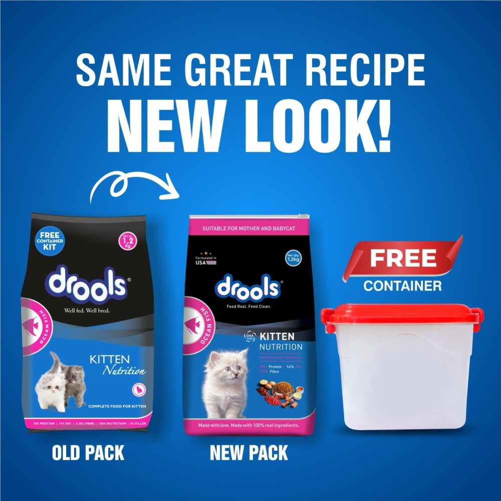 Drools Ocean Fish Dry Kitten Food Kitten (1-12 months) - Free Container : 1.2 kg