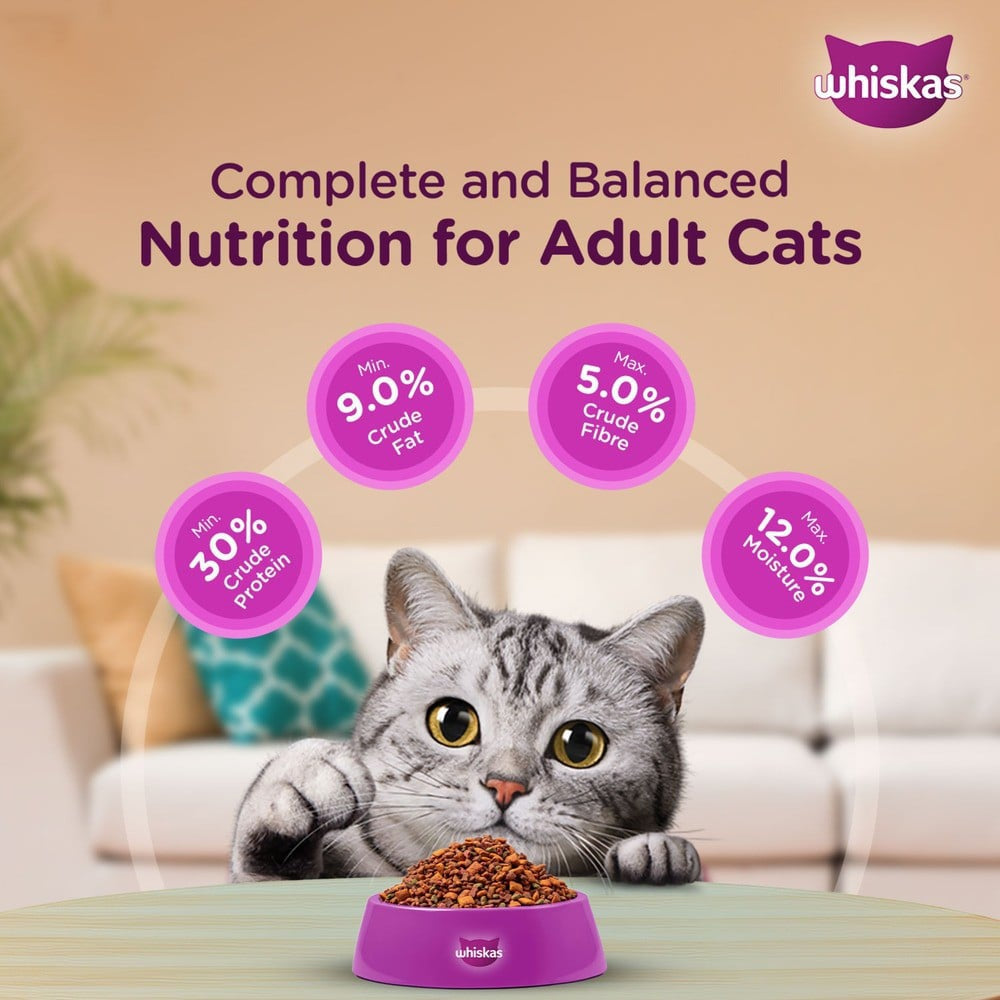 Whiskas Adult Dry Cat Food -Ocean Fish Flavour (1+ Years) - Pack of 2 : 2 x 3 kg