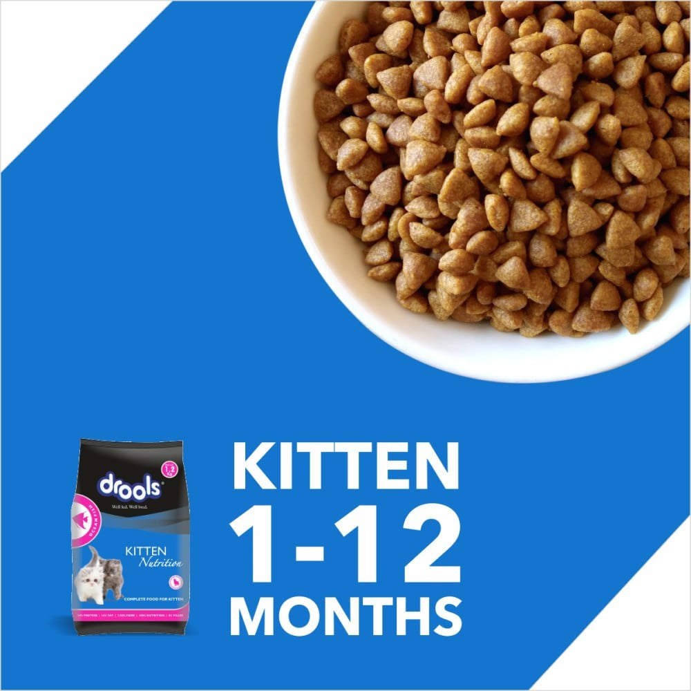 Drools Ocean Fish Dry Kitten Food Kitten (1-12 months) - Free Container : 1.2 kg