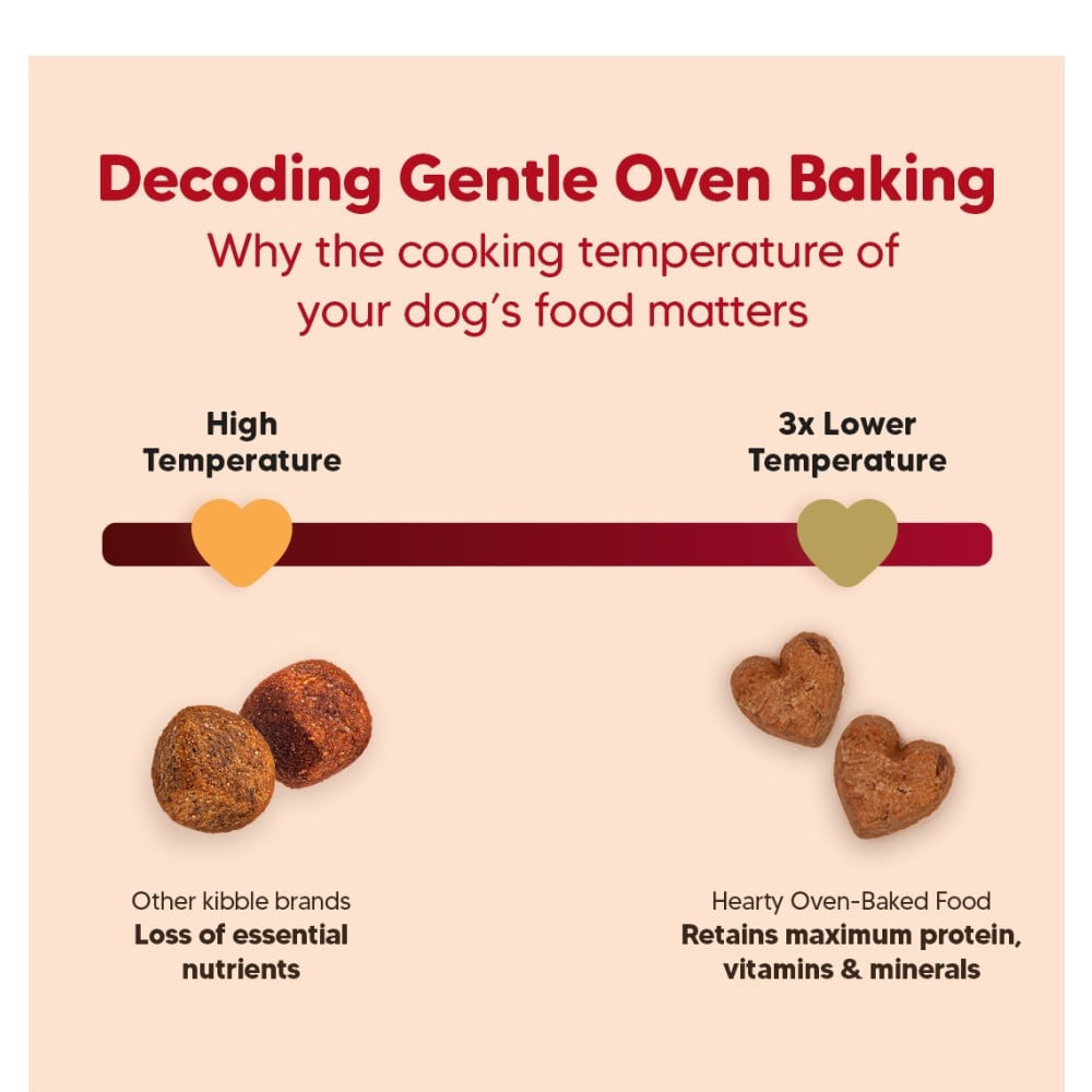 HUFT Hearty Oven-Baked Dry Adult Dog Food with Chicken, Duck & Brown Rice : 2 kg