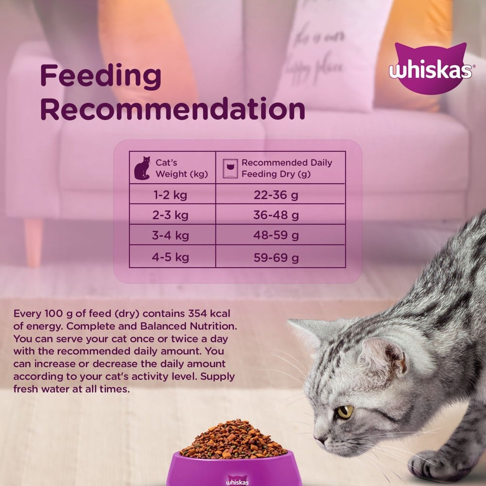 Whiskas Adult Dry Cat Food -Chicken Flavour (1+ Years) : 1.2 kg