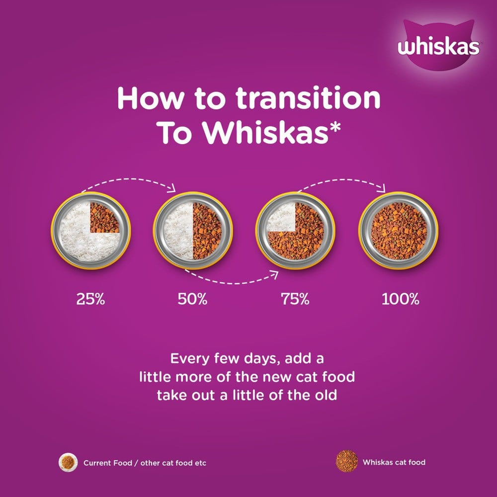 Whiskas Adult Dry Cat Food -Chicken Flavour (1+ Years) : 1.2 kg