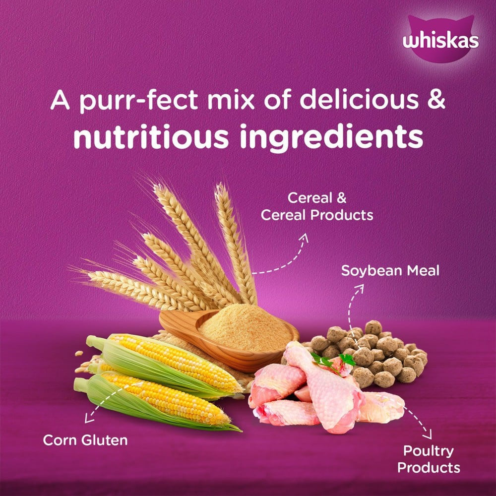 Whiskas Chicken Flavour Dry Cat Food (1+ Years) : 3 kg