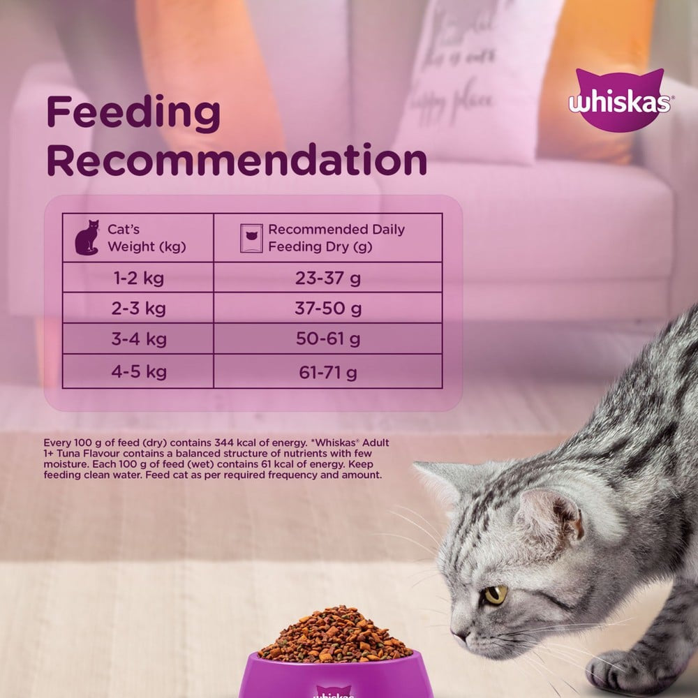 Whiskas Adult Dry Cat Food -Ocean Fish Flavour (1+ Years) - Pack of 2 : 2 x 3 kg