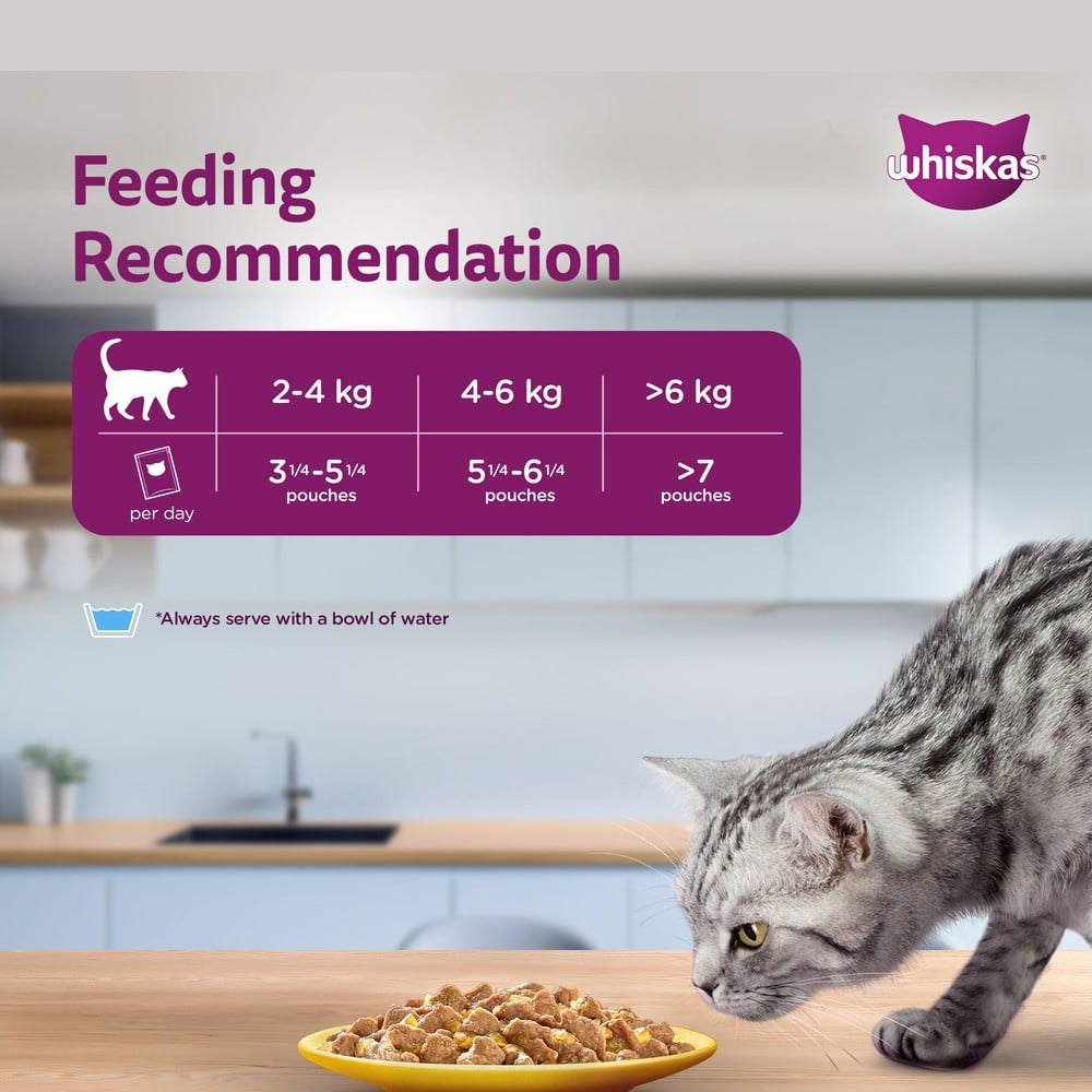 Whiskas Adult Wet Cat Food -Chicken in Gravy (1+ Years) : 80 g