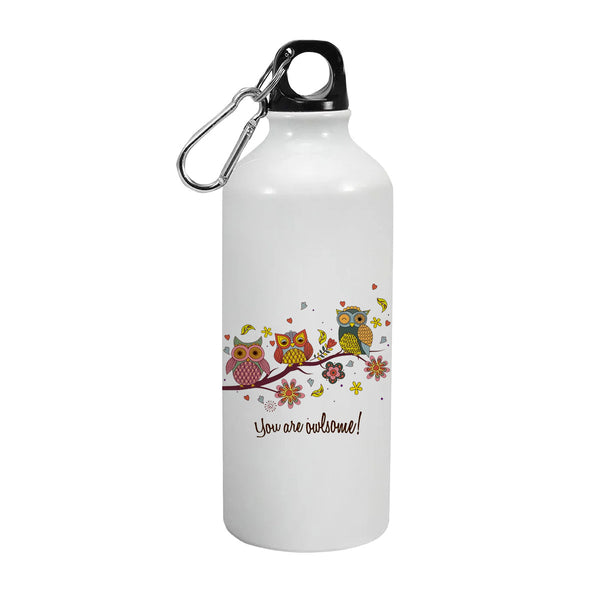 You are Owlsome: Printed Sipper Bottle | 600ml