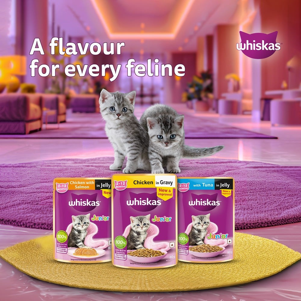 Whiskas Kitten Wet Wet Kitten Food -Chicken in Gravy (2-12 Months) - Pack of 3 : 3 x 80 g