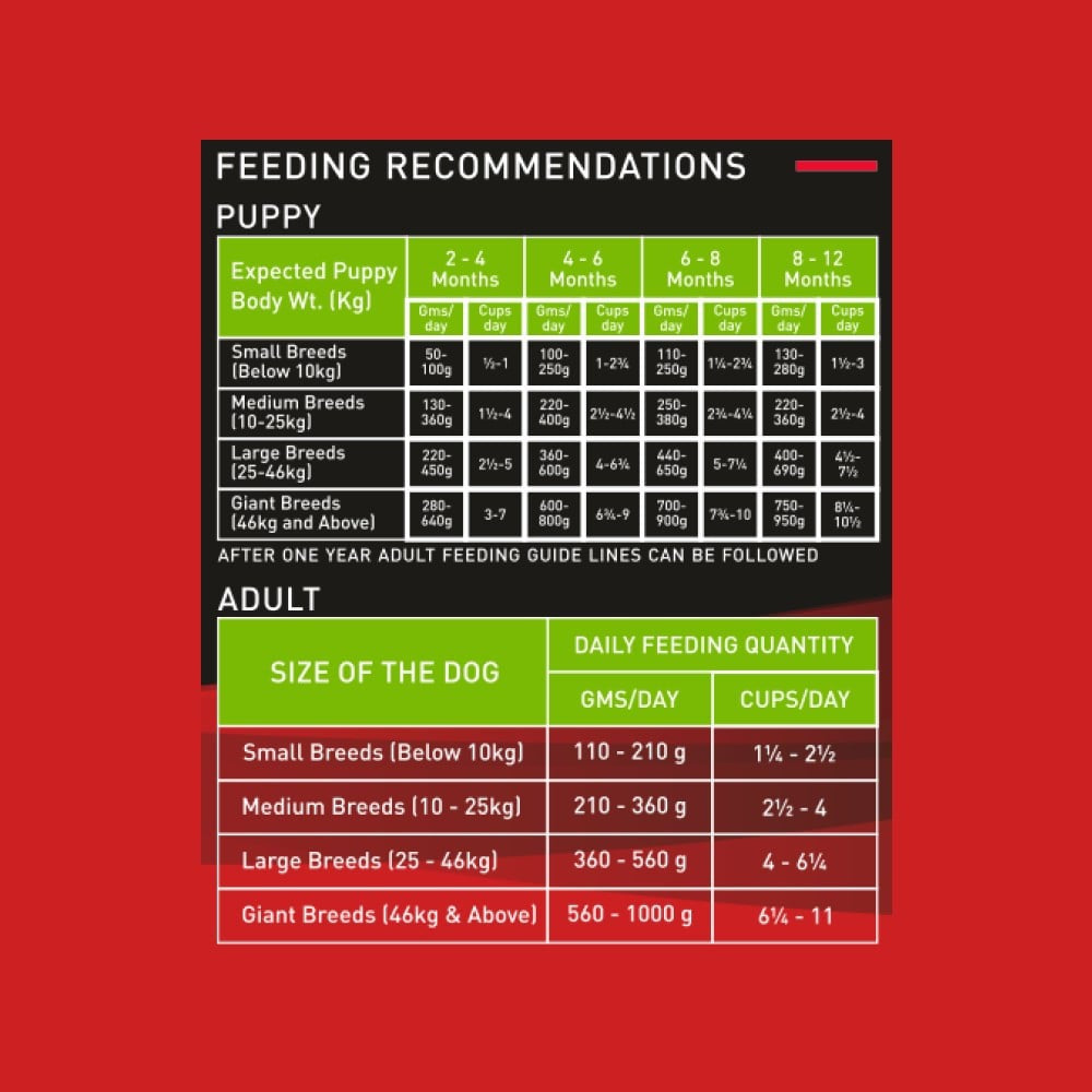 Drools All Life Stages Dry Dog Veg Food : 1.2 kg