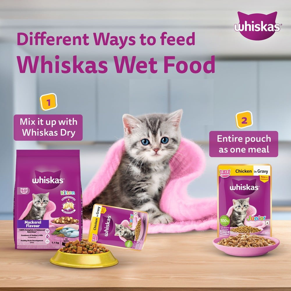 Whiskas Kitten Wet Wet Kitten Food -Chicken in Gravy (2-12 Months) - Pack of 3 : 3 x 80 g