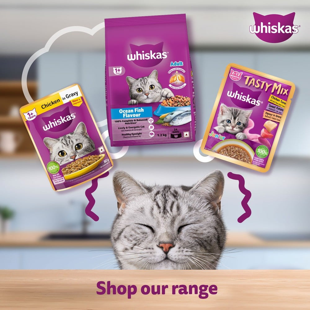 Whiskas Adult Wet Cat Food -Chicken in Gravy (1+ Years) : 14 x 80 g