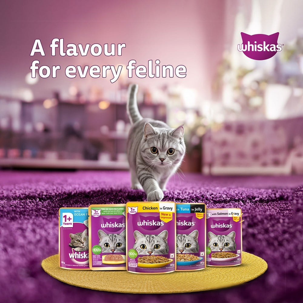 Whiskas Adult Wet Cat Food -Salmon in Gravy (1+ Years) : 14 x 80 g