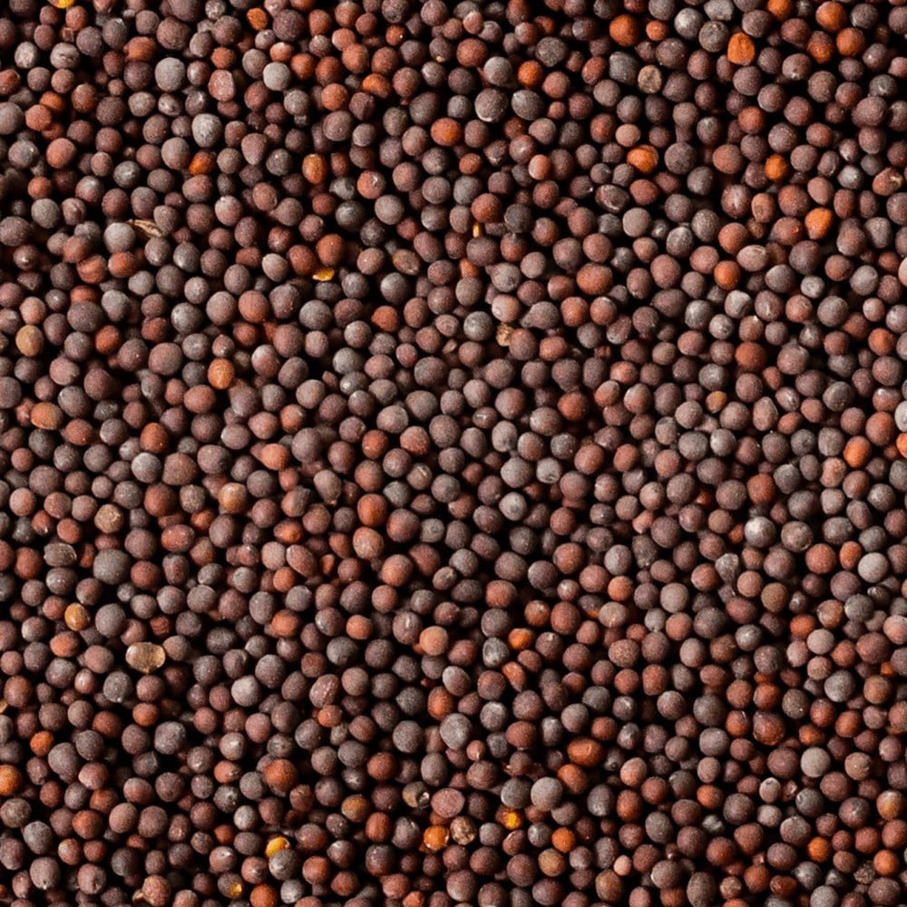 Aashirvaad Pure Whole Mustard Seeds : 200 g