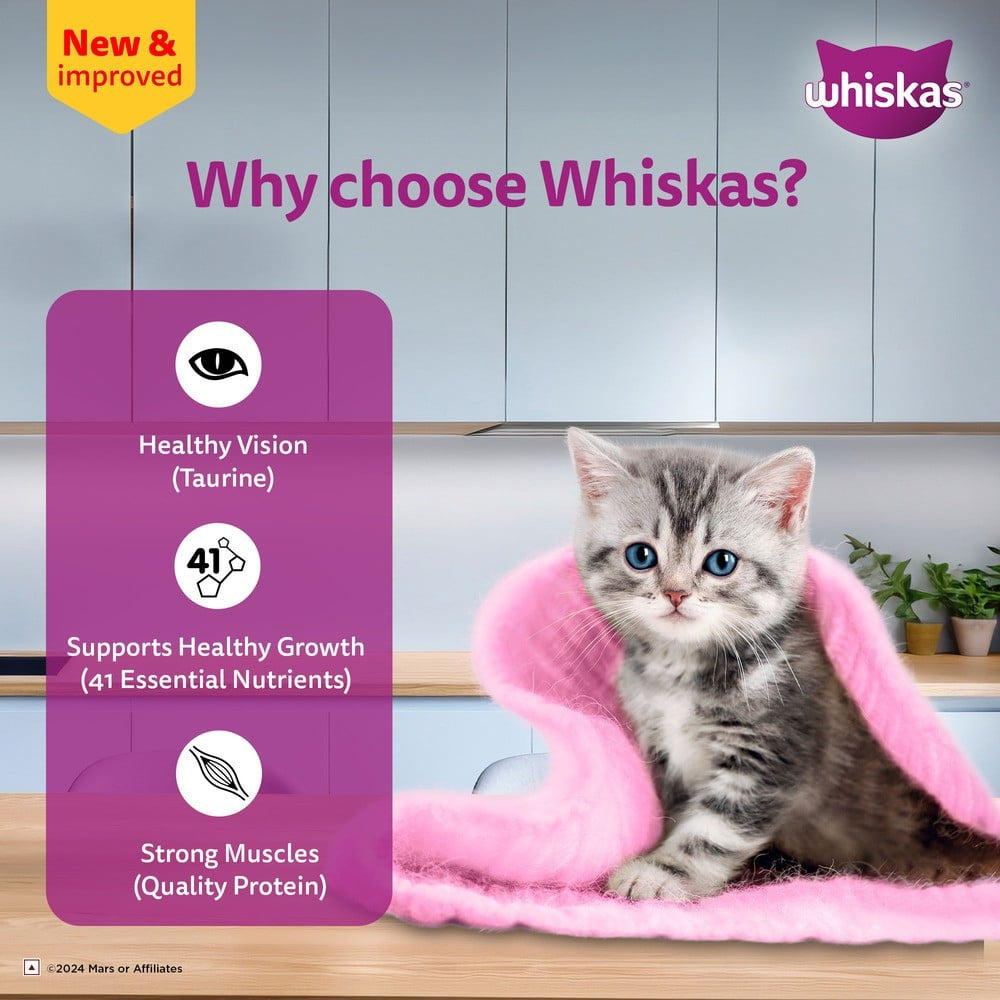 Whiskas Kitten Wet Wet Kitten Food -Chicken in Gravy (2-12 Months) - Pack of 3 : 3 x 80 g