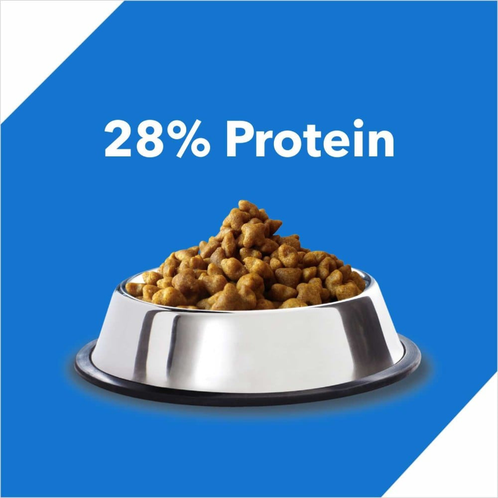 Drools Ocean Fish Dry Cat Food (Adult) : 1.2 kg