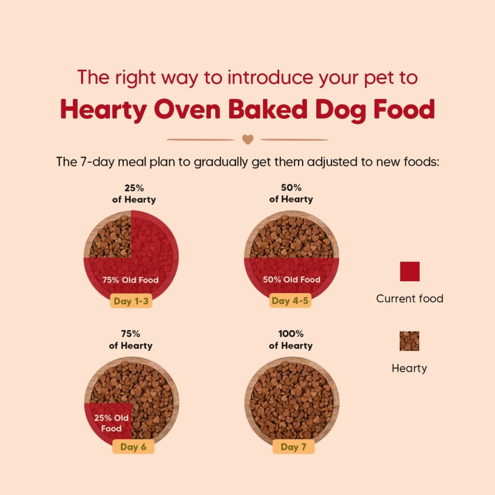 HUFT Heart Oven Baked Dry Dog Food for Puppies with Chicken, Fish & Indian Herbs : 2 kg