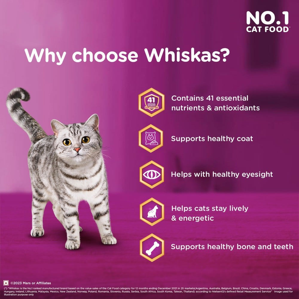 Whiskas Adult Dry Cat Food -Chicken Flavour (1+ Years) : 1.2 kg
