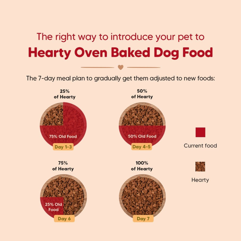 HUFT Oven-Baked Dry Dog Food for Puppies with Chicken, Fish & Indian Herbs : 250 g
