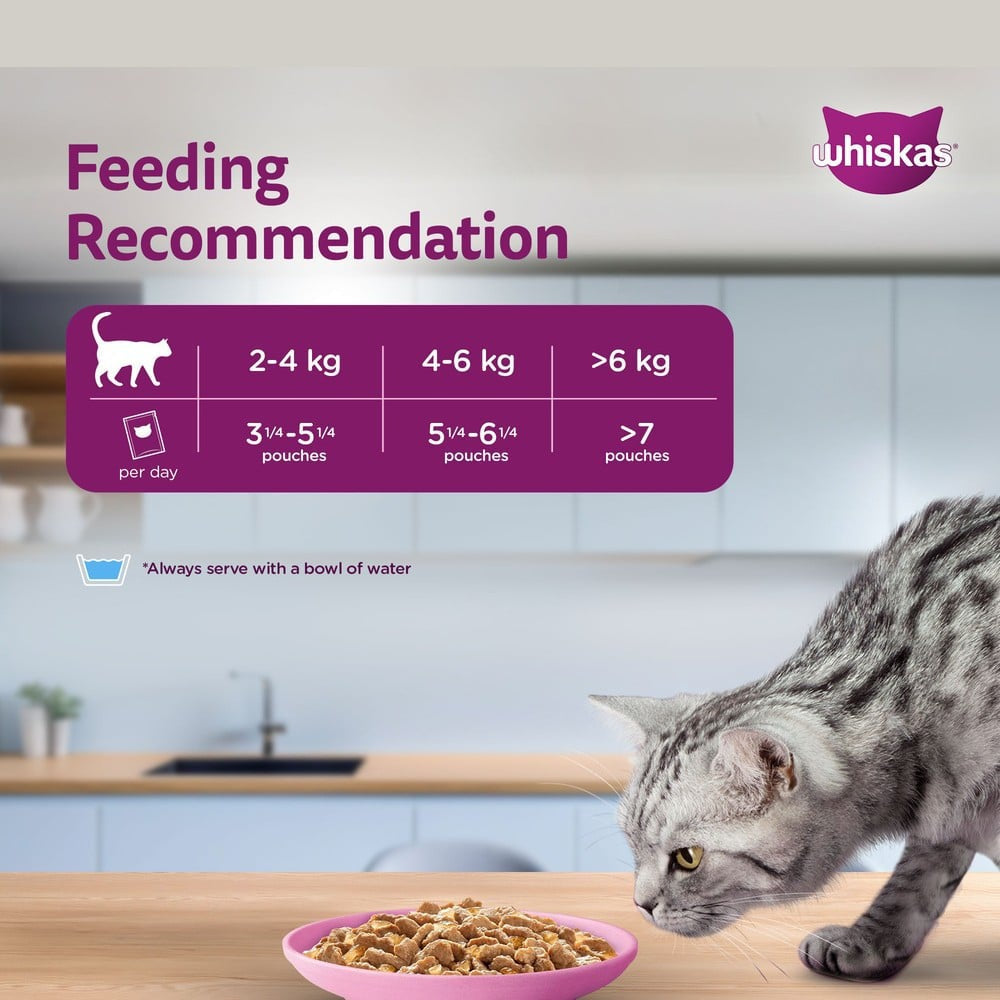 Whiskas Adult Wet Cat Food -Salmon in Gravy (1+ Years) : 80 g