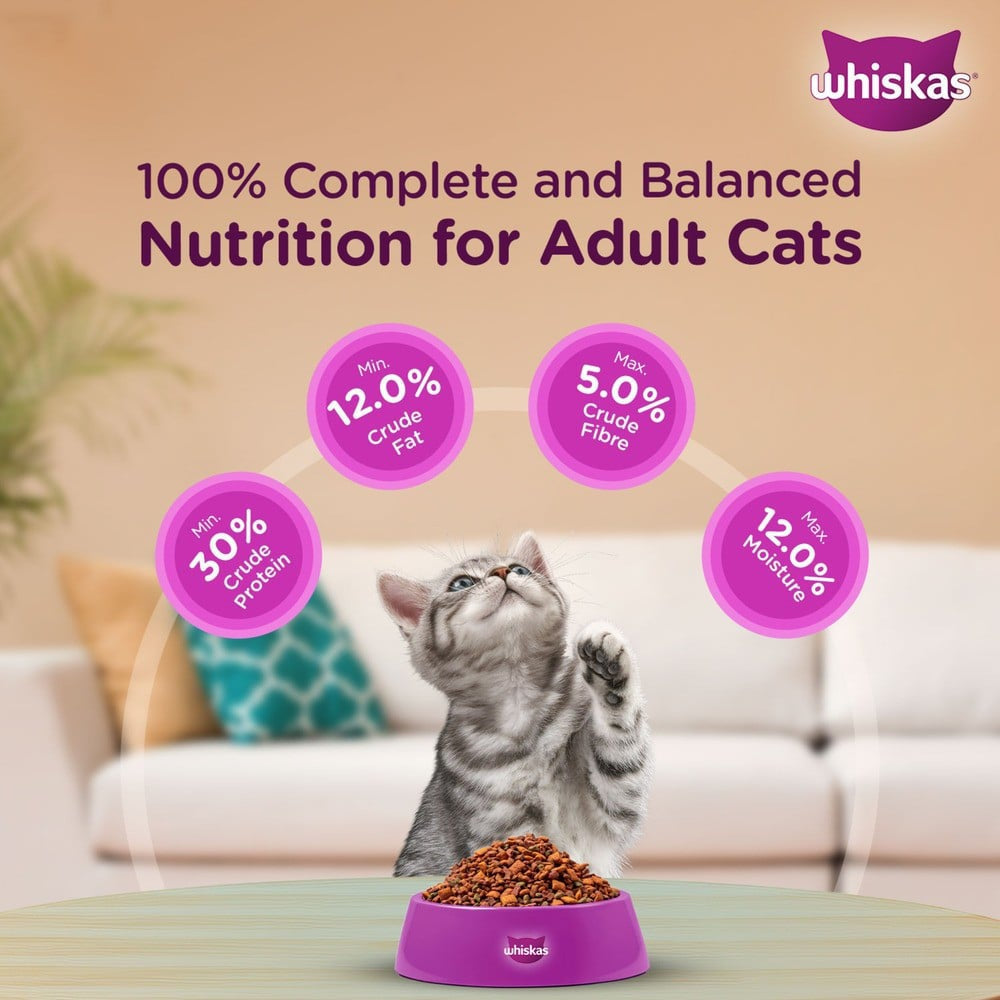 Whiskas Dry Kitten Food -Ocean Fish Flavour (2-12 months) : 1.1 kg